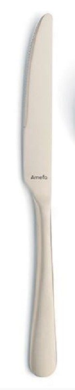 Couteau de table pour champagne Amefa Austin 23,6cm