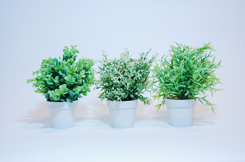 Plante en plastique 24 cm dans un pot rond blanc